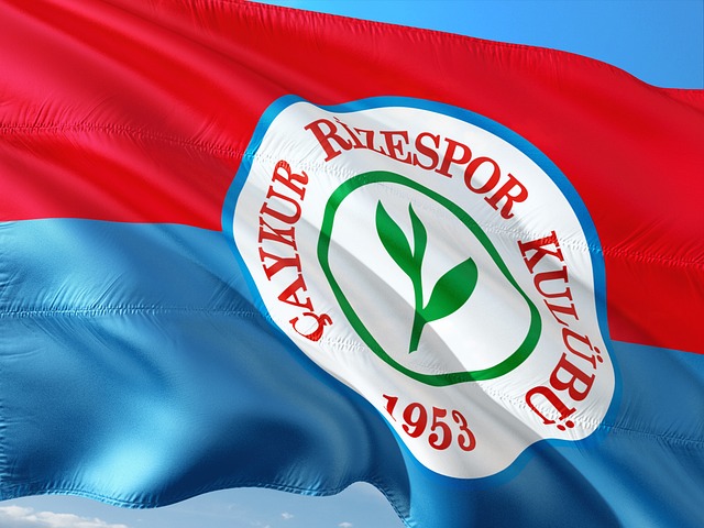 年轻人对奥 年轻人对奥