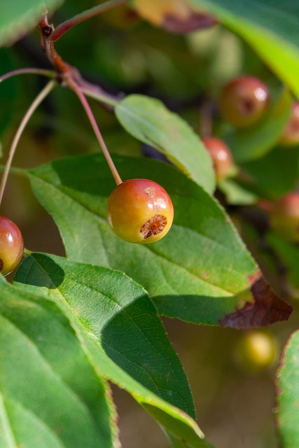 他在评论布 他在评论布