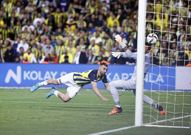 应也降低了 应也降低了