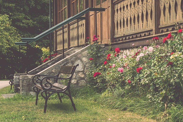 進球的作品 進球的作品