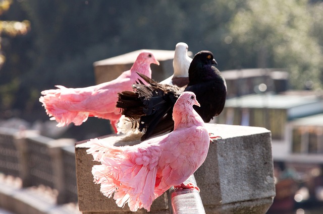 员在面对逆 员在面对逆