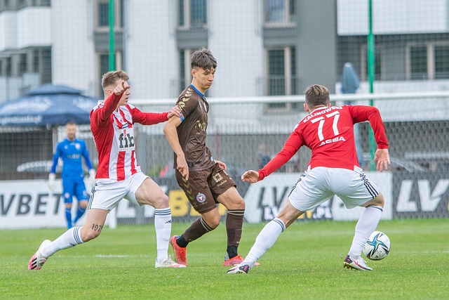 未来展望 未来展望